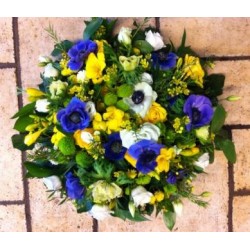 Sympathy 13 - Prices start from £55.00